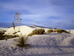 Morning, White Sands